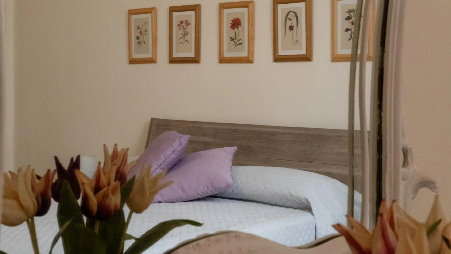 Apartament Via Veneto 5 Alassio